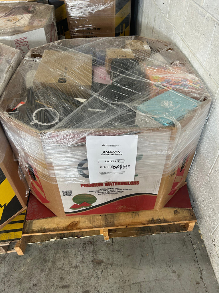 LiquidationDeals.ca AMZ General Merchandise #17 Liquidation Pallet wholesale