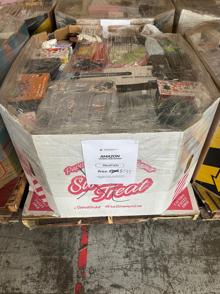 LiquidationDeals.ca AMZ General Merchandise #25 Liquidation Pallet wholesale