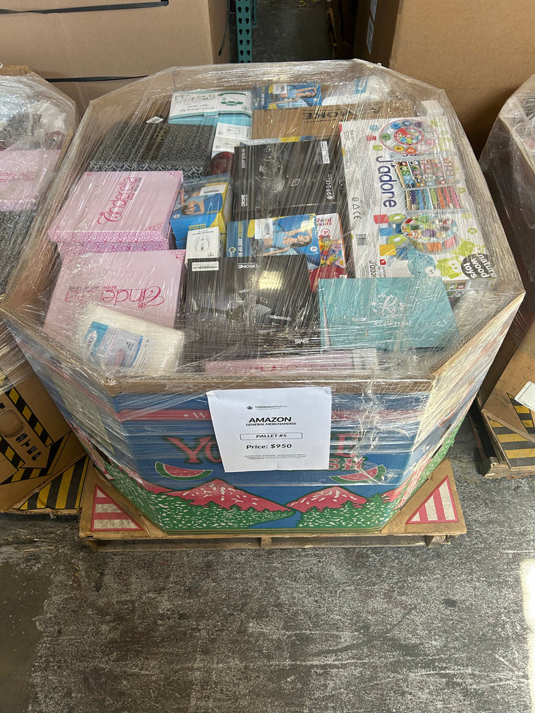 LiquidationDeals.ca AMZ General Merchandise #5 | Liquidation Pallet wholesale