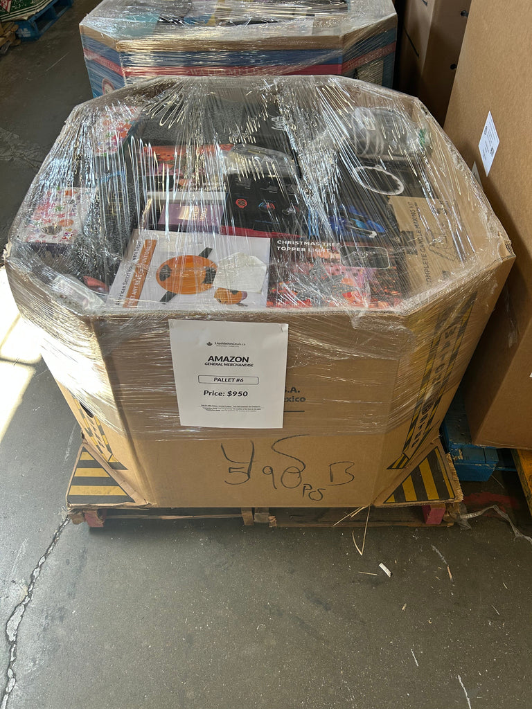 LiquidationDeals.ca AMZ General Merchandise #6 | Liquidation Pallet wholesale