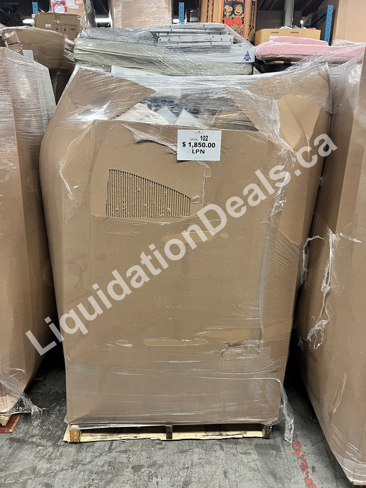 Highcount LPN Pallet #102 — Free Shipping Eligible for Parts of Ontario Only — Liquidation Pallet Wholesale