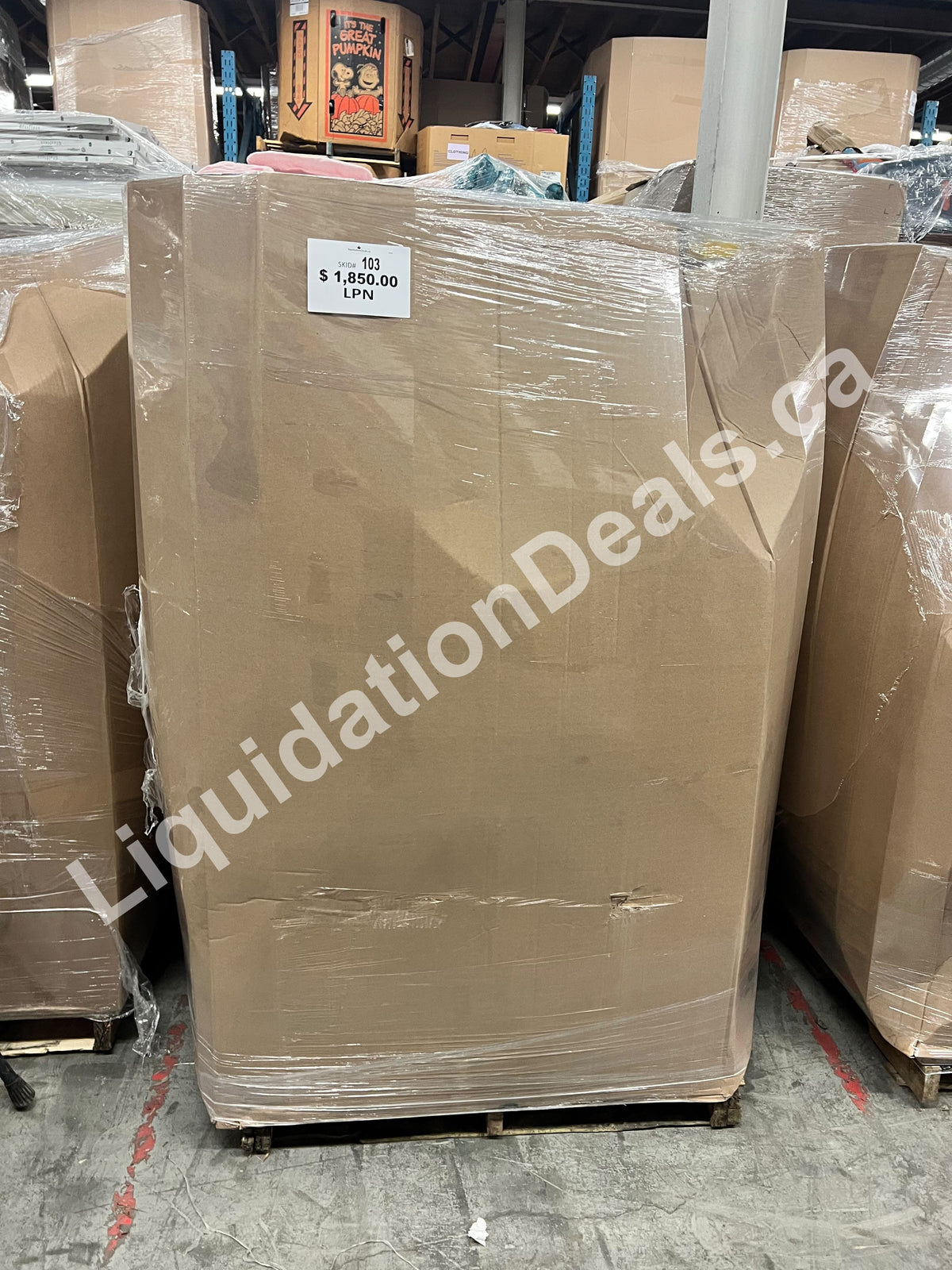 Highcount LPN Pallet #103 — Free Shipping Eligible for Parts of Ontario Only — Liquidation Pallet Wholesale