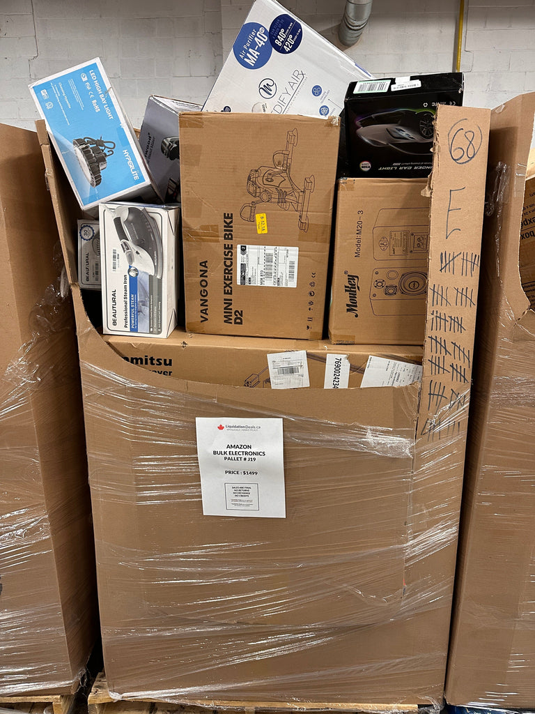 LiquidationDeals.ca Electronics #J019 | Liquidation Pallet wholesale