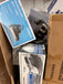 LiquidationDeals.ca Electronics #J019 | Liquidation Pallet wholesale