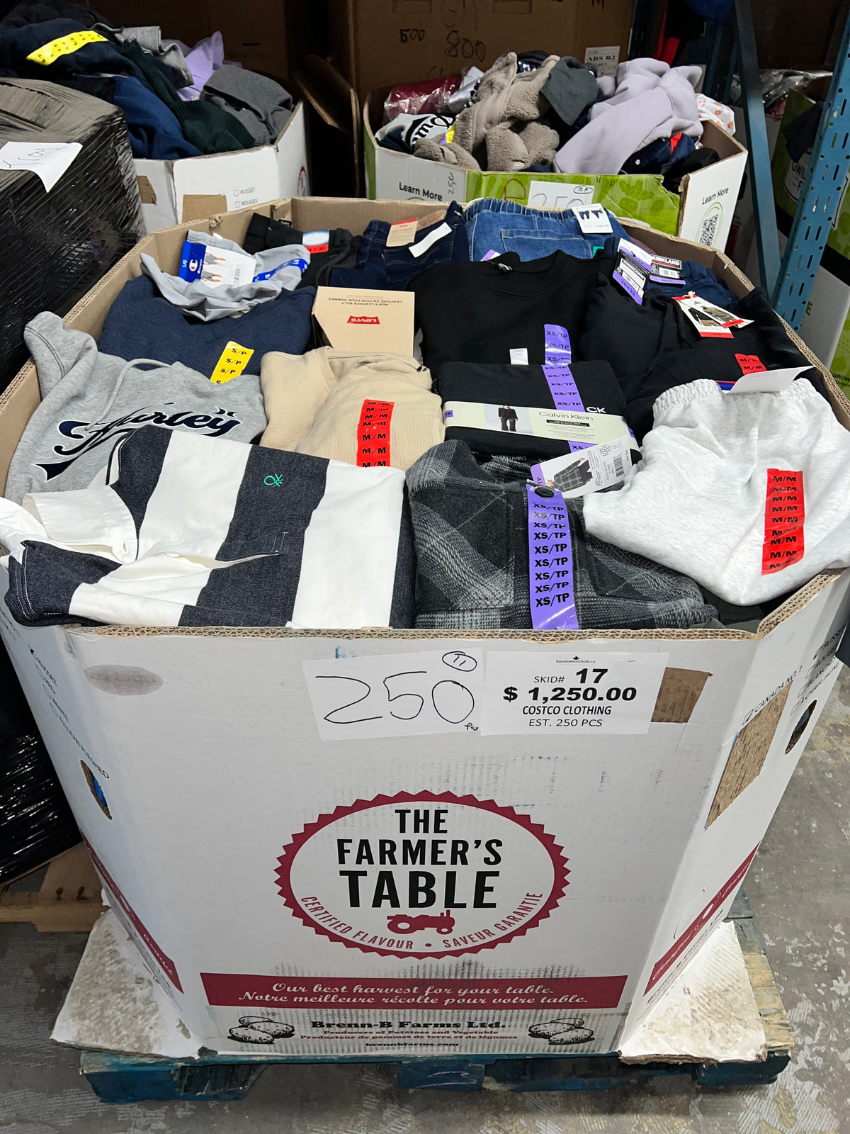 Brand Name Clothing #17 - 250pcs | Liquidation Wholesale Pallet