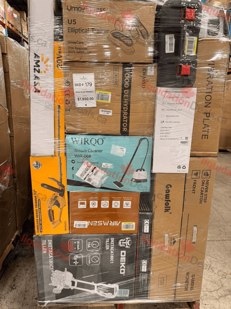 LiquidationDeals.ca Bulk Electronics #179