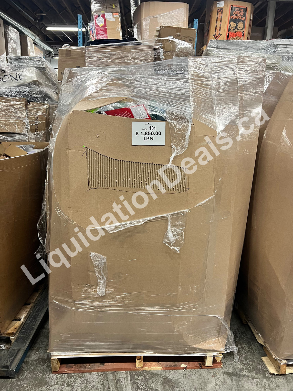 Highcount LPN Pallet #101 — Free Shipping Eligible for Parts of Ontario Only — Liquidation Pallet Wholesale