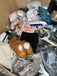 liquidationdeals.ca Shoes Pallet #03 | Liquidation Wholesale Pallet