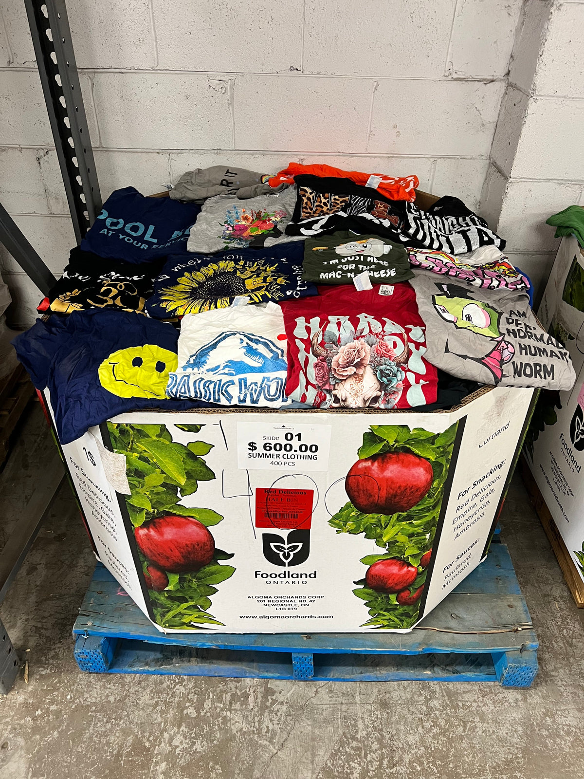 Summer Clothing #1 - 400pcs | Liquidation Wholesale Pallet